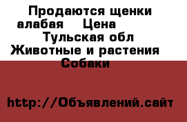 Продаются щенки алабая  › Цена ­ 6 000 - Тульская обл. Животные и растения » Собаки   